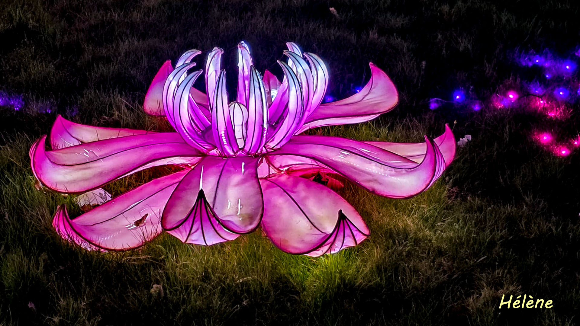 THOIRY -Illumination ,  Lumières sauvages 2025-2026